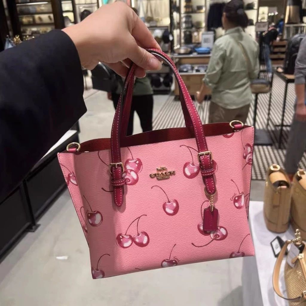 Coach Mollie 25 Tote Bag