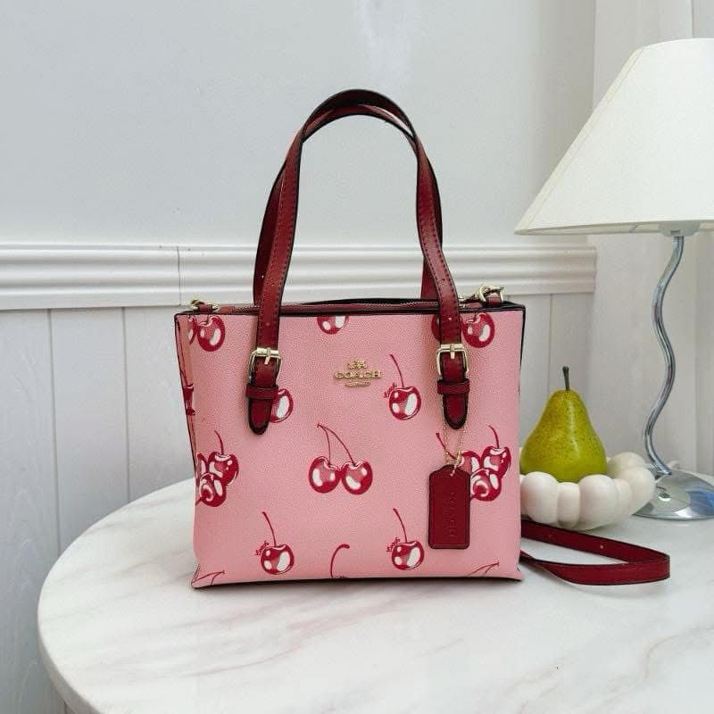 Coach Mollie 25 Tote Bag