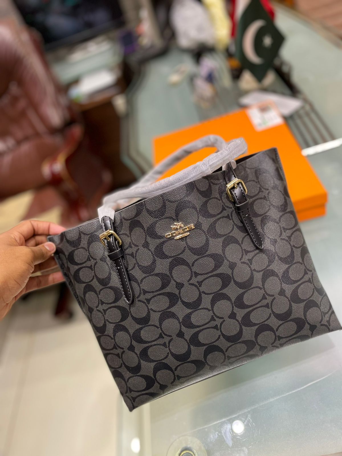 Coach Mollie Tote Bag