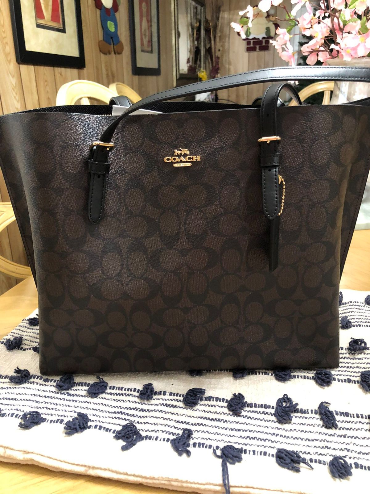 Coach Mollie Tote Bag