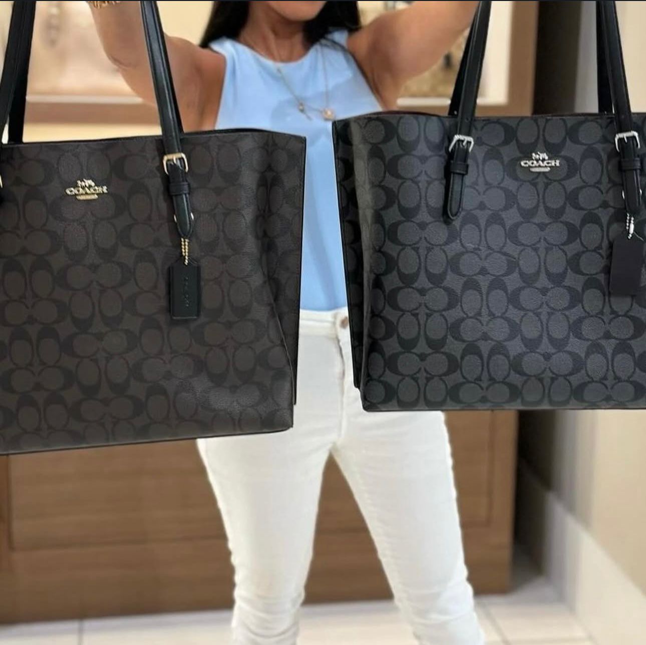 Coach Mollie Tote Bag